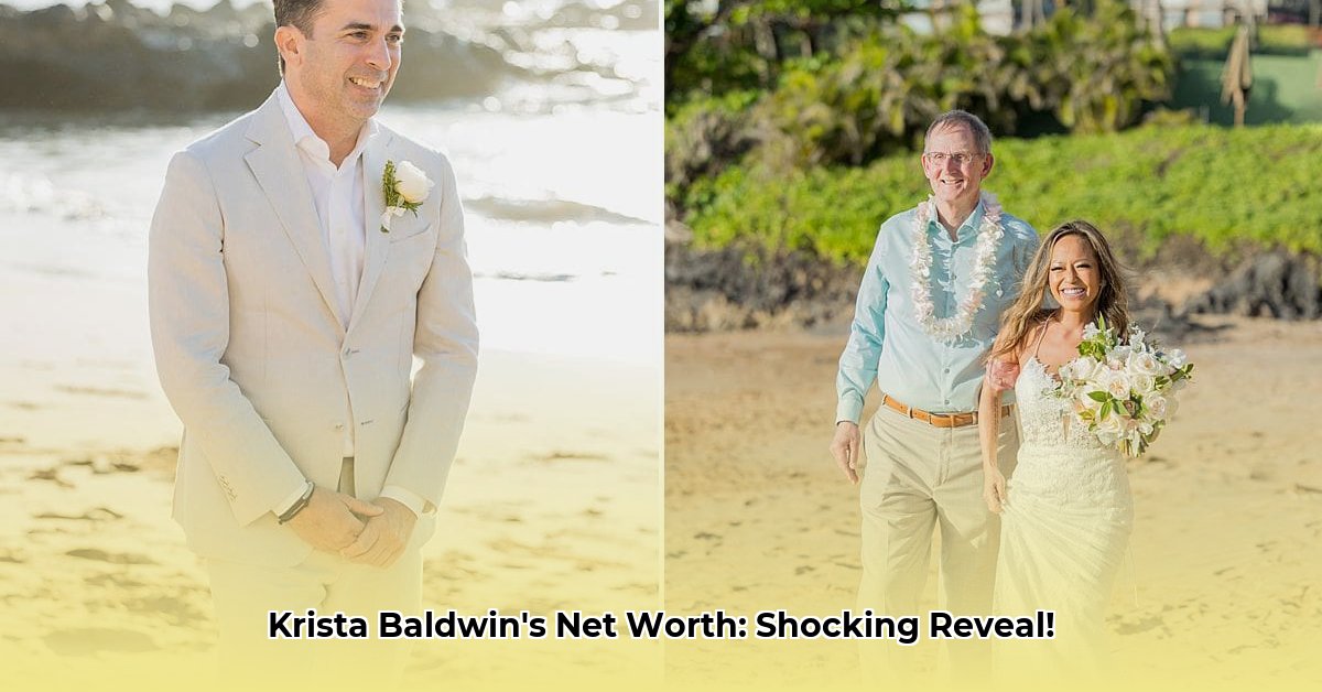 krista-baldwin-net-worth